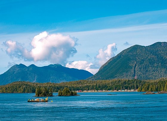 Bären, Wale & Vancouver Island - Meares Island