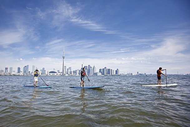 Auf den Spuren der Elche - Stand up Paddle Boarding