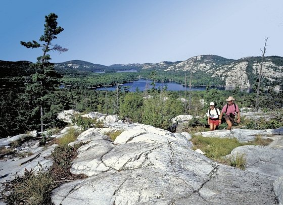 Auf den Spuren der Elche - Silver Peak, Killarney Provincial Park