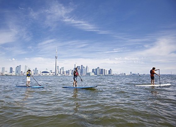 Auf den Spuren der Elche - Stand up Paddle Boarding