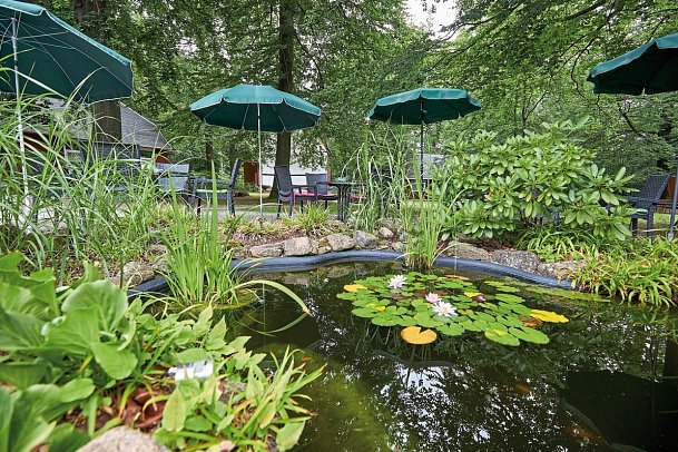 Kurpark Flair Hotel im Ilsetal