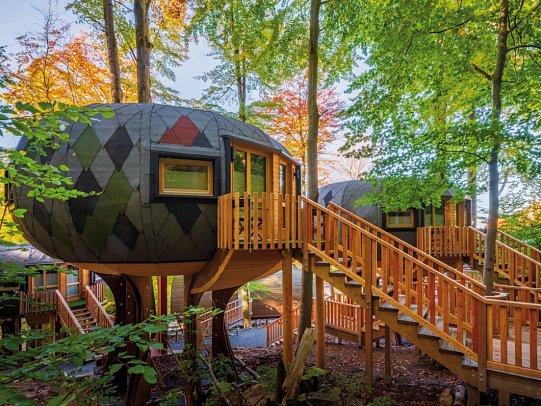 Sonnenresort Ettershaus - Wohnbeispiel Baumhaus Oktagon (Zimmercodierung BB2)