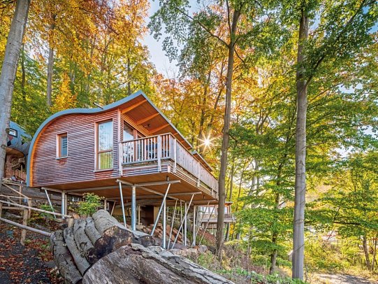 Sonnenresort ETTERSHAUS - Wohnbeispiel Baumhaus Elvis Junior (Zimmercodierung BB1)