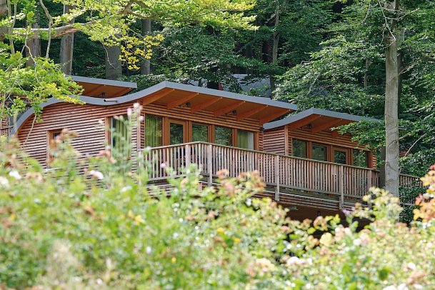 Sonnenresort ETTERSHAUS - Wohnbeispiel Baumhaus Elvis Junior (Zimmercodierung BB1)