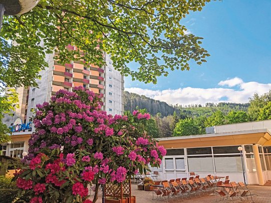 Panoramic Hotel - Ihr Apartmenthotel - Panoramic Hotel – Aparthotel im Harz