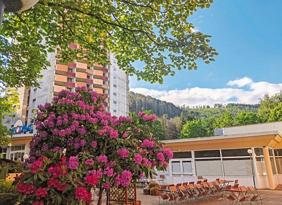 Panoramic Hotel - Ihr Apartmenthotel - Panoramic Hotel – Aparthotel im Harz