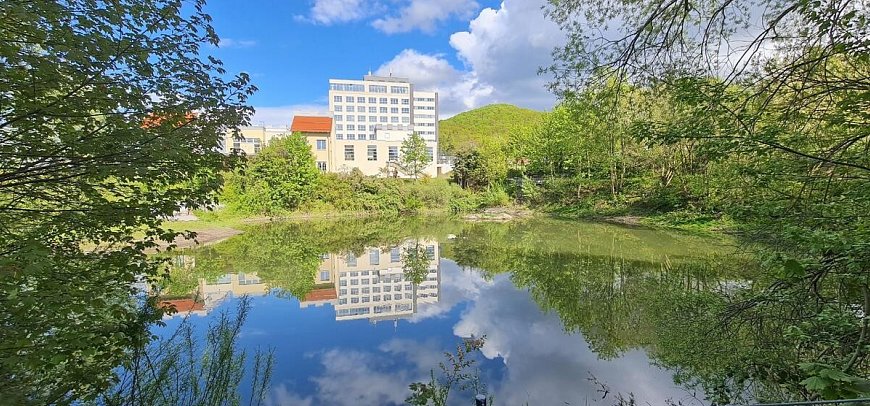 Hasseröder Burghotel