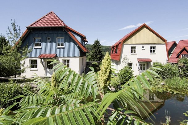 Hasseröder Ferienpark - Hausbeispiel Doppelhaushälfte Typ C (Zimmercodierung OB1)