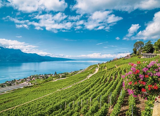 Große Bahnrundreise zwischen Alpen und Dolce Vita - Weinbaugebiet Lavaux am Genfersee
