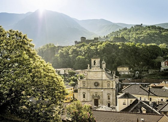 Bahnerlebnis Schweiz pur 8 Nächte