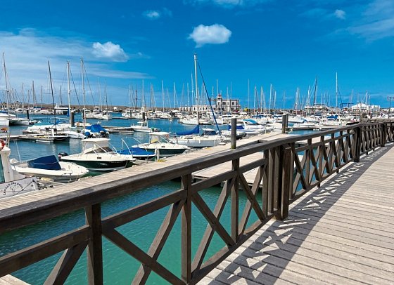 Cordial Marina Blanca