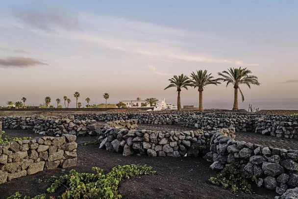 Hotel César Lanzarote