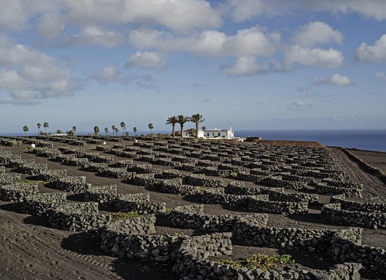 Hotel César Lanzarote