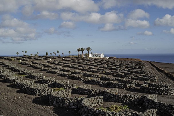Hotel César Lanzarote