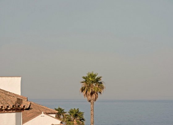 OKU Andalusia