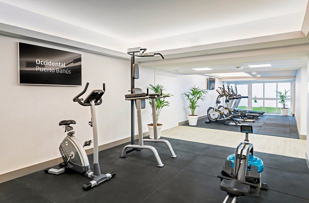 Occidental Puerto Banús