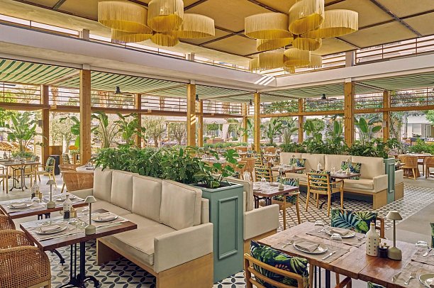 METT Marbella - Estepona - Isola