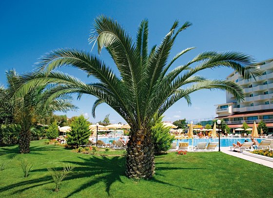 Febeach Hotel