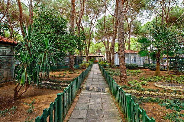 Bellis Deluxe Hotel