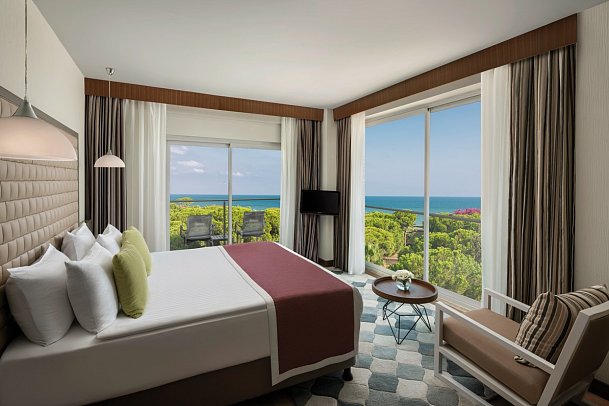 Papillon Ayscha - Wohnbeispiel Doppelzimmer Executive (Zimmercodierung DT1)