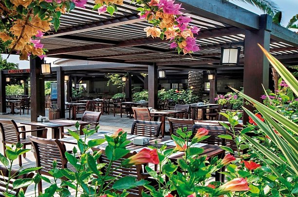 Crystal Family Comfort Collection