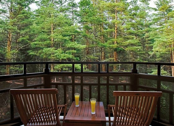 Asteria Family Resort Belek - Wohnbeispiel Doppelzimmer Nature (Zimmercodierung DB1)