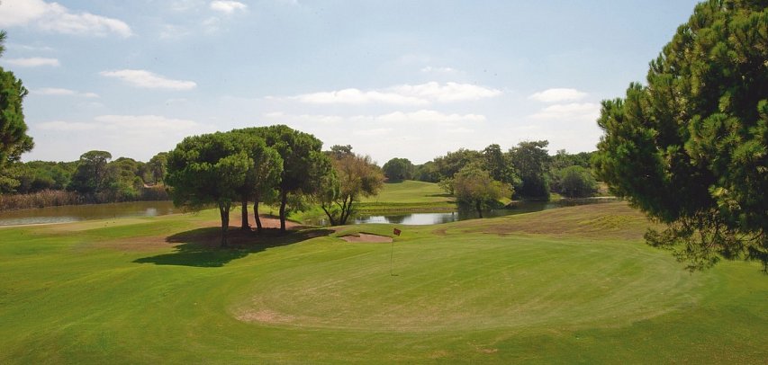 Crystal Tat Beach Pearl Collection