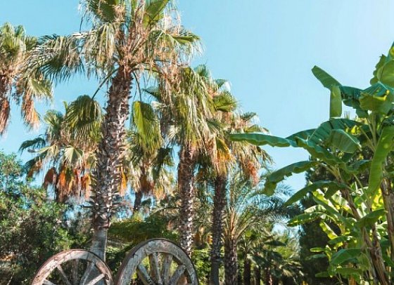 Süral Resort