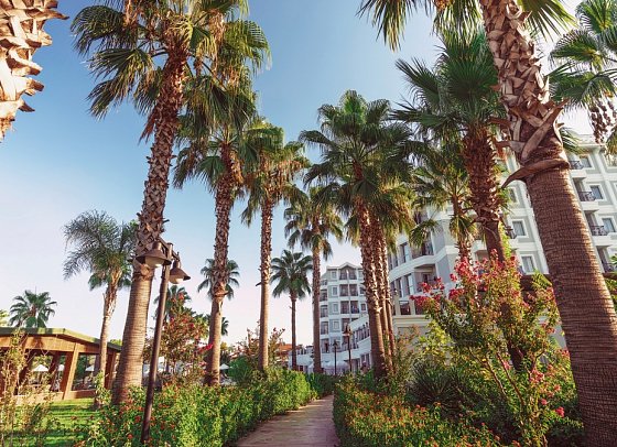 Royal Atlantis Beach
