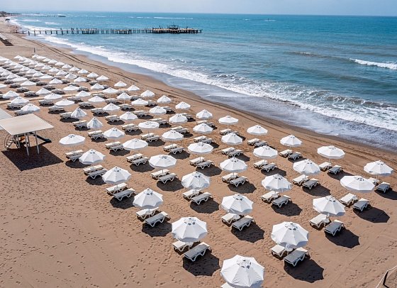 Barut Goia