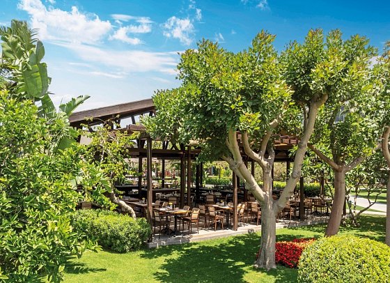 Barut Goia