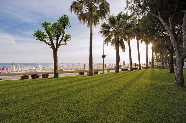 Barut Hemera