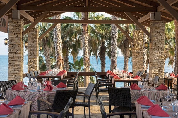 Arum Barut Collection