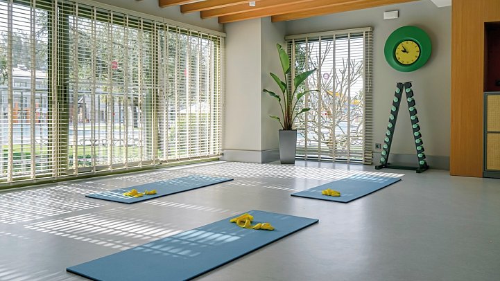 Arum Barut Collection