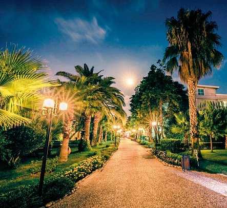 Paloma Oceana