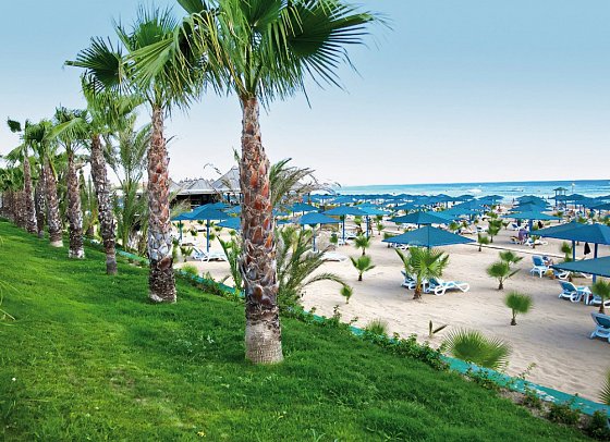 Paloma Oceana