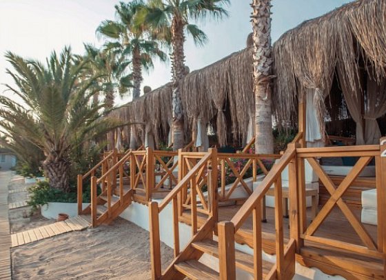 Paloma Oceana