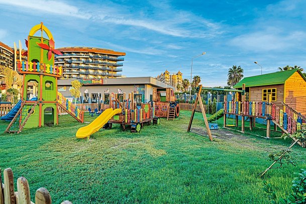 Calyptus Kirman Premium