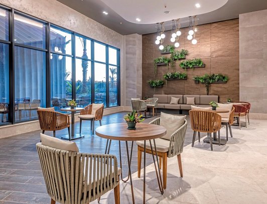 Calyptus Kirman Premium