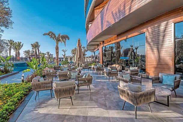 Calyptus Kirman Premium