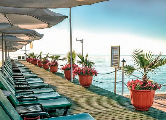 Gypsophila Club Marine