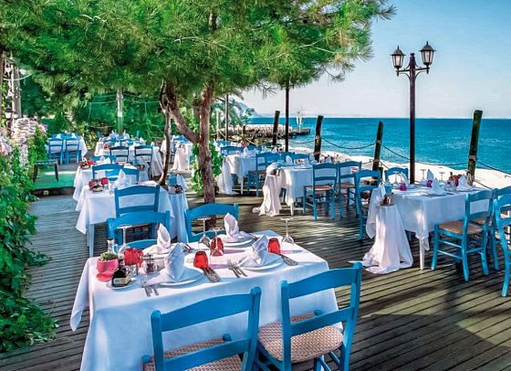 Gypsophila Club Marine