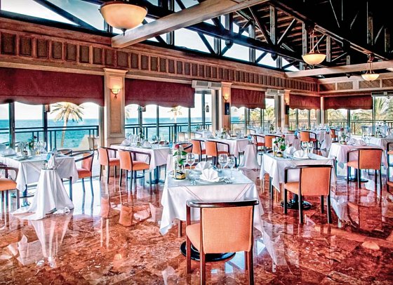 Gypsophila Club Marine