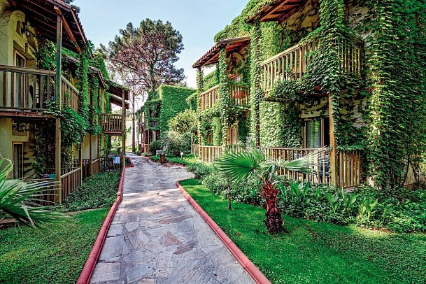 Gypsophila Club Marine