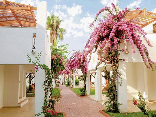 Club Kastalia - Bungalow