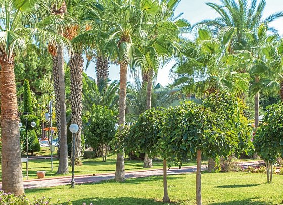 Lonicera World Hotel