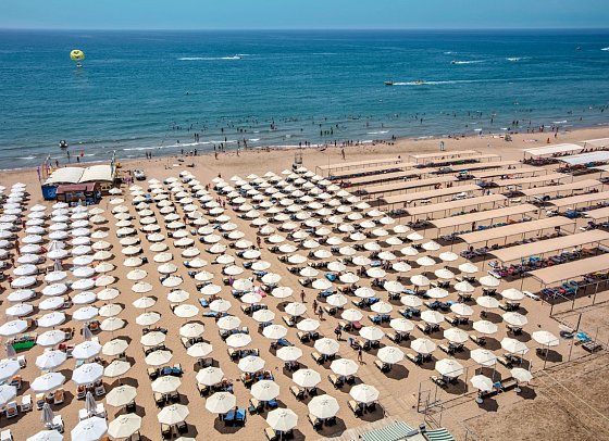 Trendy Verbena Beach