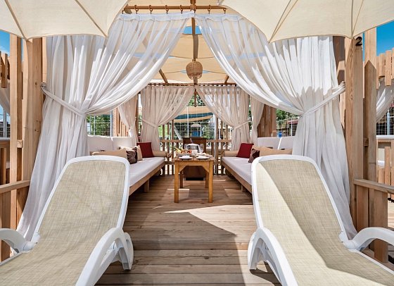 Trendy Verbena Beach