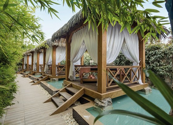 Trendy Verbena Beach