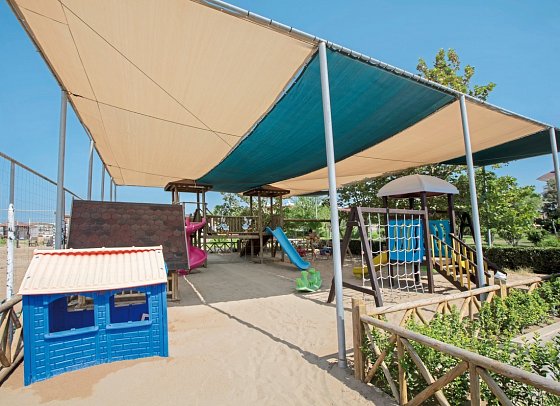 Trendy Verbena Beach